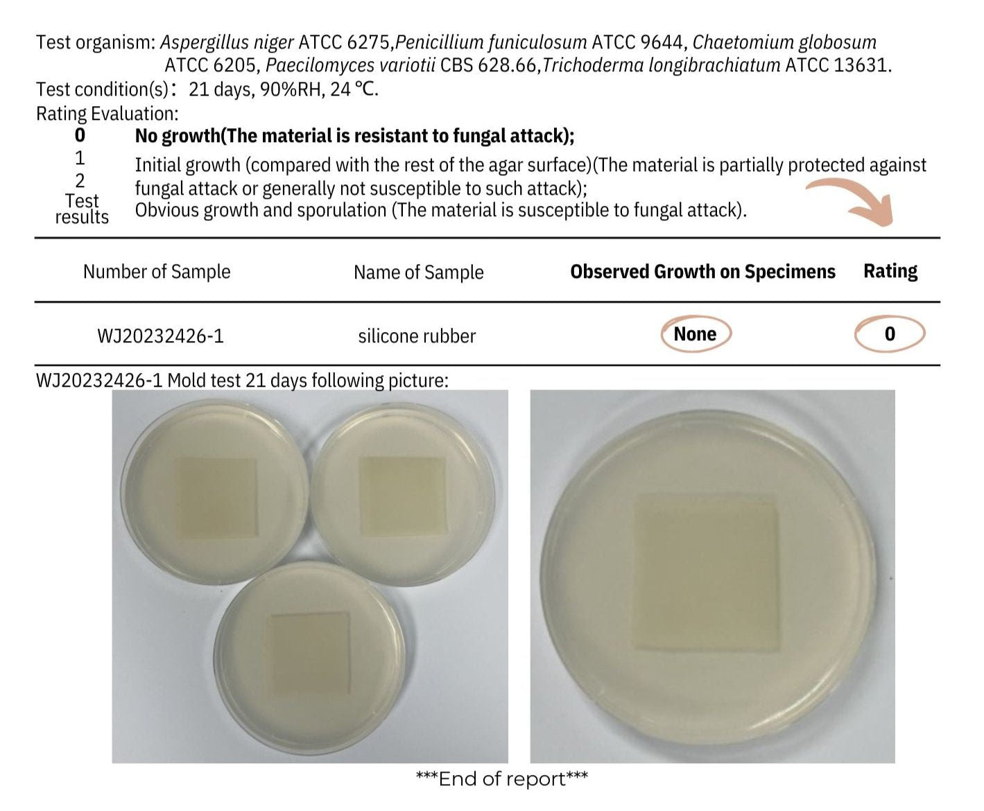 ANTIBACTERIAL-TEST-FOR-RAQIIA-BY-SGS